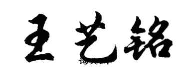 胡问遂王艺铭行书个性签名怎么写
