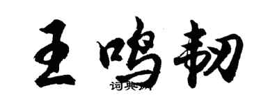 胡问遂王鸣韧行书个性签名怎么写