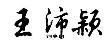 胡问遂王沛颖行书个性签名怎么写