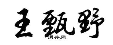 胡问遂王甄野行书个性签名怎么写