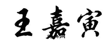 胡问遂王嘉寅行书个性签名怎么写