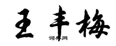 胡问遂王丰梅行书个性签名怎么写