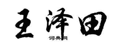 胡问遂王泽田行书个性签名怎么写