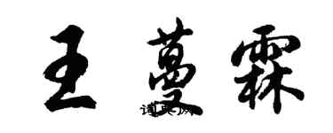 胡问遂王蔓霖行书个性签名怎么写