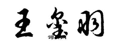 胡问遂王玺羽行书个性签名怎么写