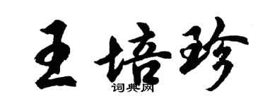胡问遂王培珍行书个性签名怎么写