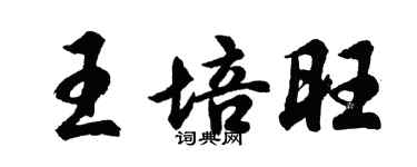 胡问遂王培旺行书个性签名怎么写