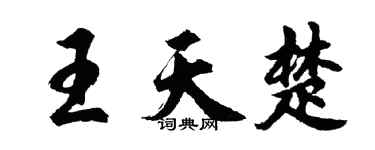 胡问遂王天楚行书个性签名怎么写