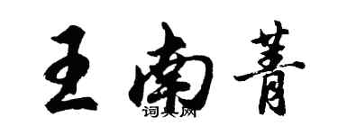胡问遂王南菁行书个性签名怎么写