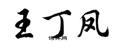 胡问遂王丁凤行书个性签名怎么写