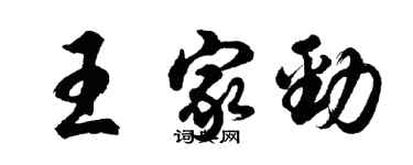 胡问遂王家劲行书个性签名怎么写