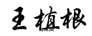 胡问遂王植根行书个性签名怎么写