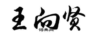 胡问遂王向贤行书个性签名怎么写