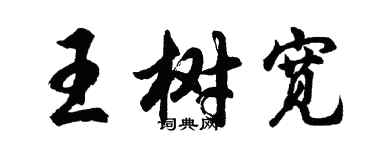 胡问遂王树宽行书个性签名怎么写