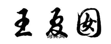 胡问遂王夏囡行书个性签名怎么写