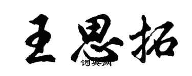 胡问遂王思拓行书个性签名怎么写