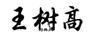胡问遂王树高行书个性签名怎么写
