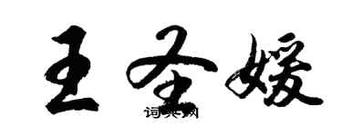 胡问遂王圣媛行书个性签名怎么写