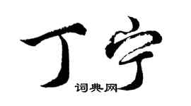 胡问遂丁宁行书个性签名怎么写