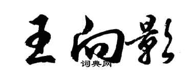 胡问遂王向影行书个性签名怎么写