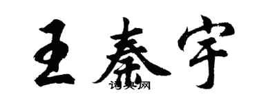 胡问遂王秦宇行书个性签名怎么写