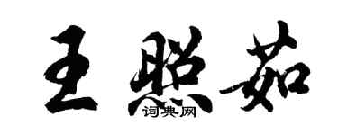 胡问遂王照茹行书个性签名怎么写