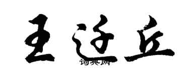 胡问遂王迁丘行书个性签名怎么写