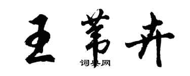 胡问遂王苇卉行书个性签名怎么写
