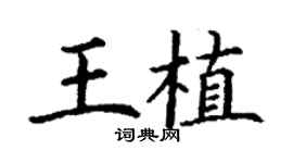 丁谦王植楷书个性签名怎么写