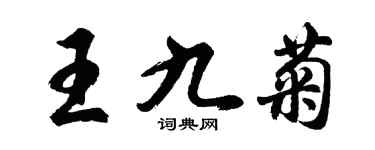 胡问遂王九菊行书个性签名怎么写