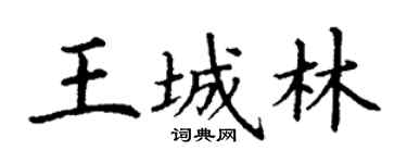 丁谦王城林楷书个性签名怎么写