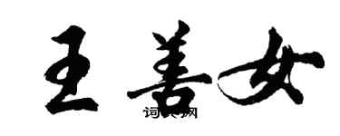 胡问遂王善女行书个性签名怎么写