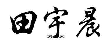 胡问遂田宇晨行书个性签名怎么写
