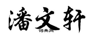 胡问遂潘文轩行书个性签名怎么写