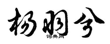 胡问遂杨羽兮行书个性签名怎么写