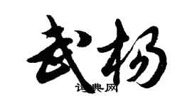 胡问遂武杨行书个性签名怎么写