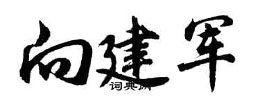胡问遂向建军行书个性签名怎么写