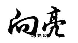 胡问遂向亮行书个性签名怎么写