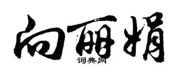胡问遂向丽娟行书个性签名怎么写