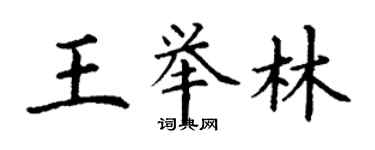 丁谦王举林楷书个性签名怎么写