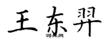 丁谦王东羿楷书个性签名怎么写