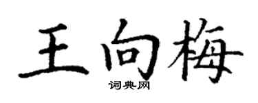 丁谦王向梅楷书个性签名怎么写