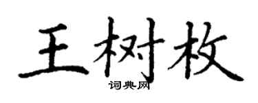 丁谦王树枚楷书个性签名怎么写