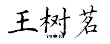 丁谦王树茗楷书个性签名怎么写