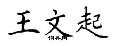 丁谦王文起楷书个性签名怎么写