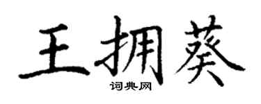 丁谦王拥葵楷书个性签名怎么写