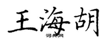 丁谦王海胡楷书个性签名怎么写