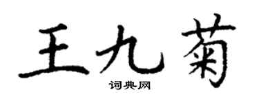 丁谦王九菊楷书个性签名怎么写