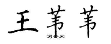 丁谦王苇苇楷书个性签名怎么写