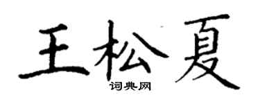 丁谦王松夏楷书个性签名怎么写